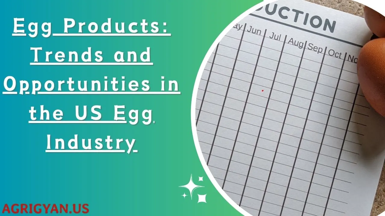 A green and white image with a title that reads "Egg Products: Trends and Opportunities in the US Egg Industry." There's a calendar with months from June to November and a grid below. A few eggs are visible on the right side.